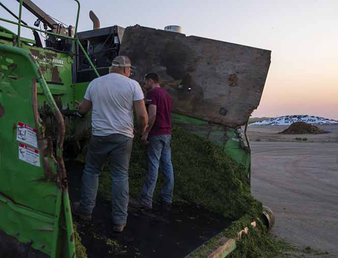 Farmers making hay